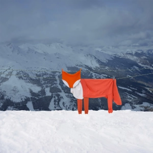 mr_fox