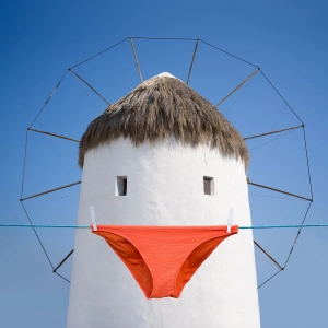 seagull_small_96338972-824d-4ea0-8054-4d48ec6d3bae