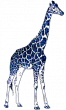 girafe-header