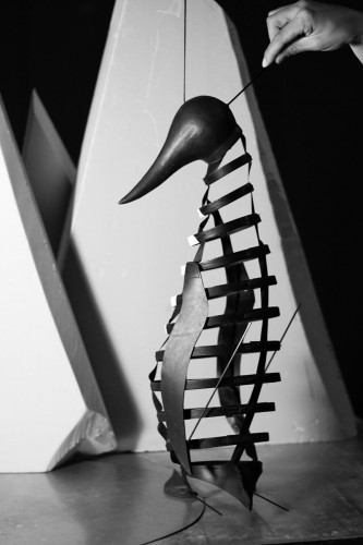 IMG 8648-retouche-contrates