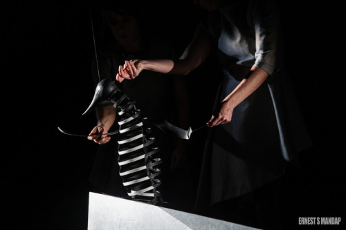 Le-Complexe-du-Pingouin-Cie-Le-Mouton-Carre-Copyright-Ernest-S-Mandap-1-scaled