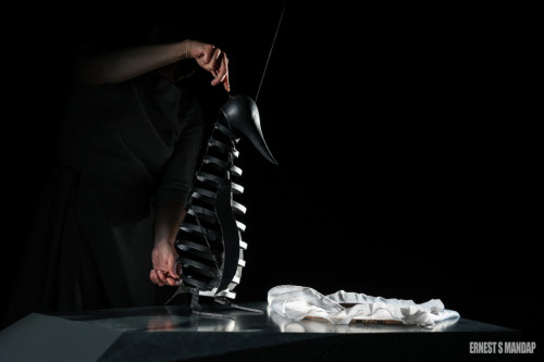 Le-Complexe-du-Pingouin-Cie-Le-Mouton-Carre-Copyright-Ernest-S-Mandap-4-scaled