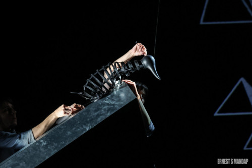 Le-Complexe-du-Pingouin-Cie-Le-Mouton-Carre-Copyright-Ernest-S-Mandap-7-scaled